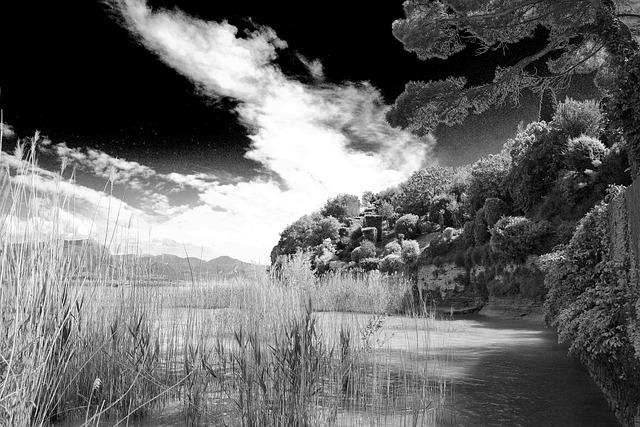 Free Beach Lake photo and picture