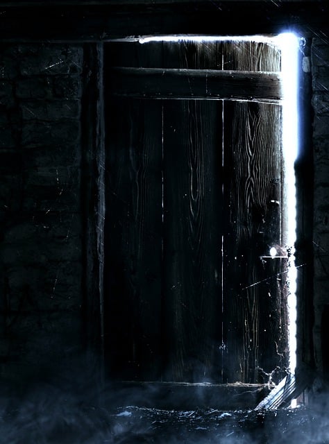 Free Door Basement illustration and picture