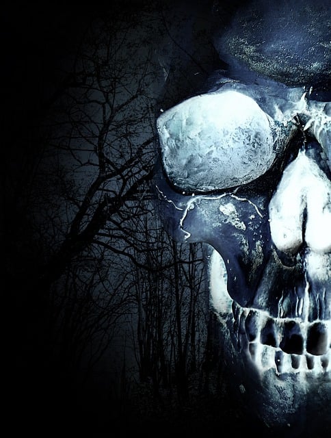 Free Skull Forest illustration and picture