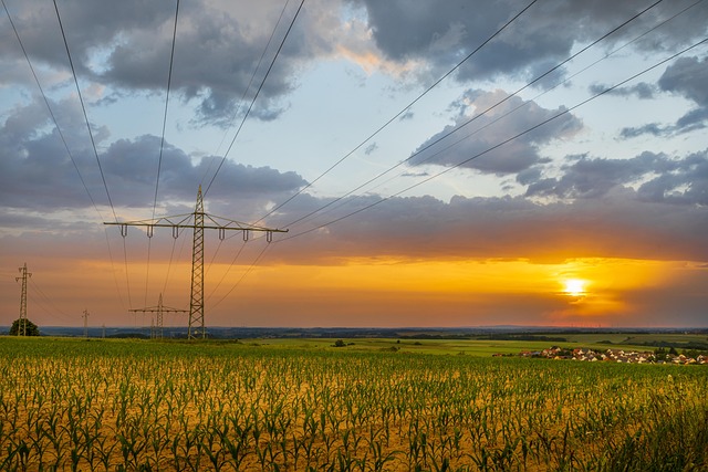 Free Sunset Agriculture photo and picture