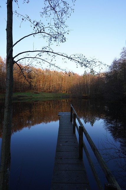 Free Pond Fire Pond photo and picture