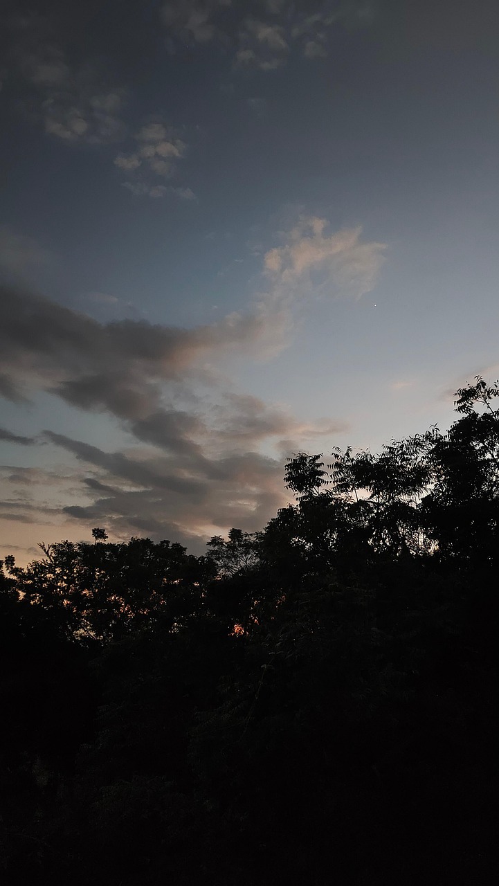 晚上 傍晚的天空 日落 - Pixabay上的免费照片 - Pixabay