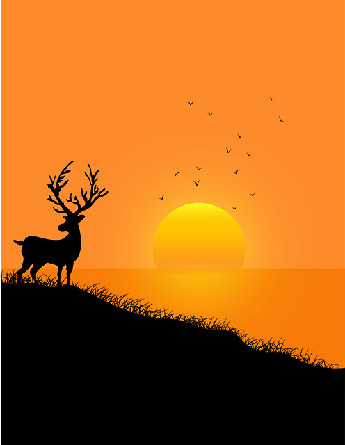 Free Sunset Nature illustration and picture
