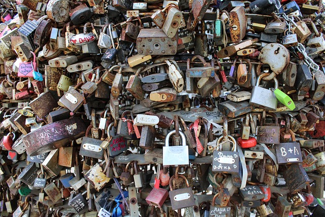 Free Locks Memory photo and picture