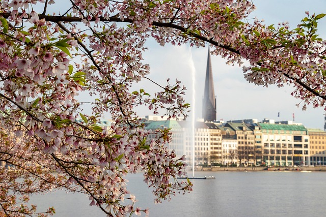 Free Spring Nature photo and picture