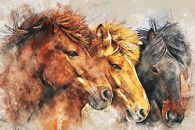 Free horses animal portrait illustration