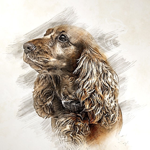 Download free HD stock image of Cocker Spaniel Dog Free cocker spaniel dog dog drawing illustration