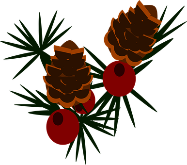 Navidad, Acebo, Piñas, Clipart, Separar