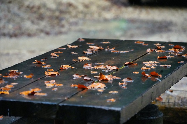 Free Table Autumn photo and picture