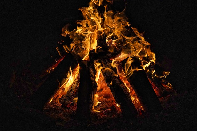 Free Campfire Fire photo and picture