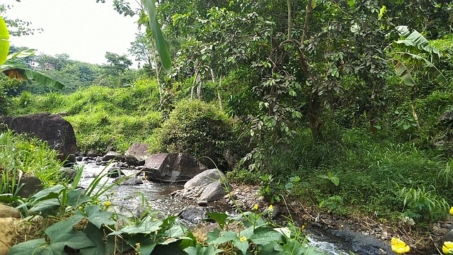Paisaje Rural Rio Río Paisaje Rural - Foto gratis en Pixabay