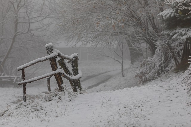 Free Winter Season photo and picture