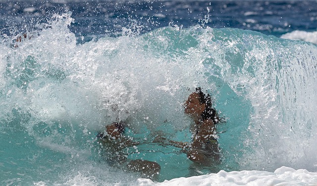 Free Summer Sea photo and picture