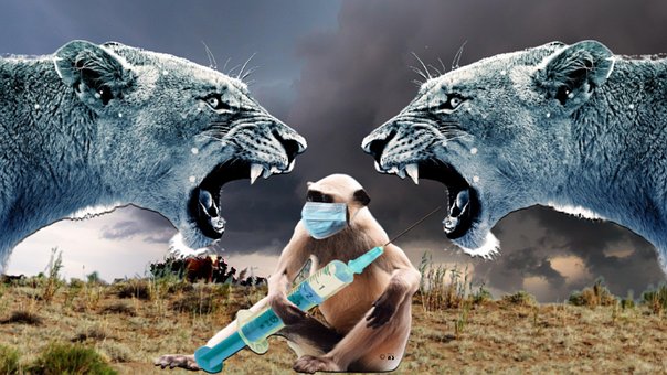 Free Covid Virus photo and picture