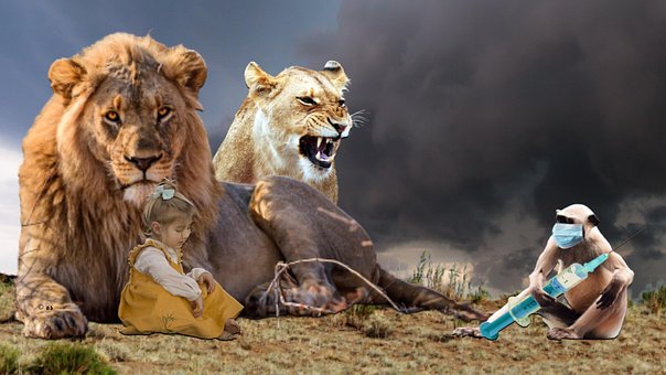 Free Coronavirus Virus photo and picture