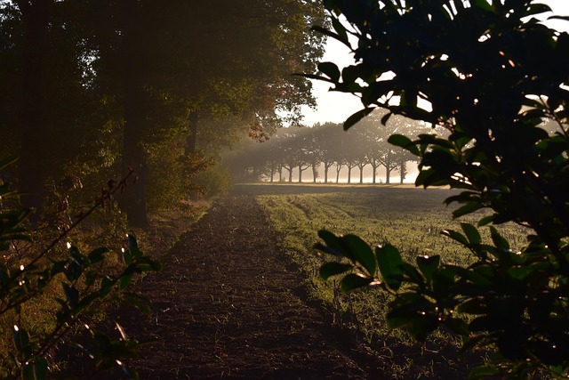 Free Nature Rural photo and picture