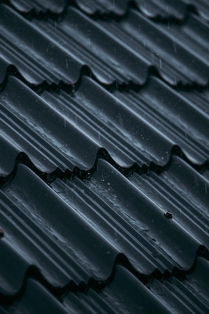 Free Roof Nature photo and picture