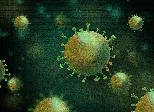 Virus, Omicron, Corona, Covid-19