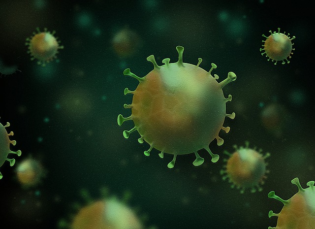 Virus, Omicron, Corona, Covid-19