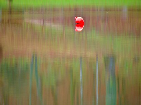 Reflectie, Boei, Lake, Textuur