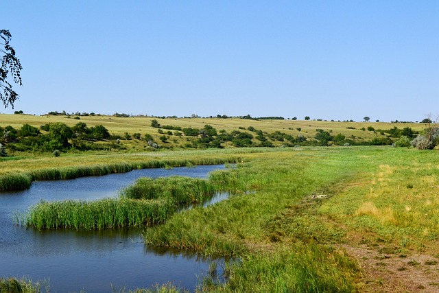 Free Field River photo and picture