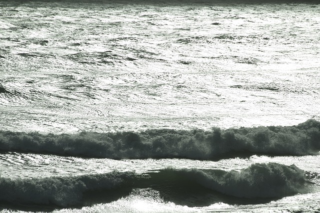 Ozean, Meer, Welle, Sonne, Surfen