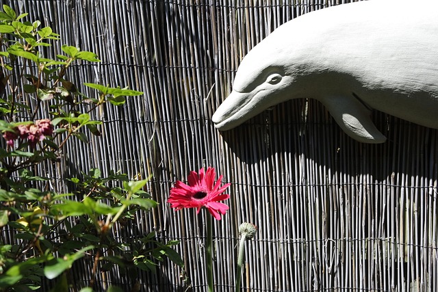 Ornament, Delfin, Blume, Garten