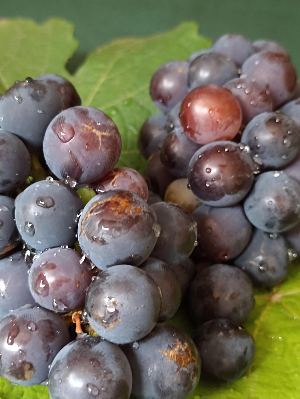 Le Rasin Les Raisins Des Fruits Aliments - Photo gratuite sur Pixabay - Pixabay