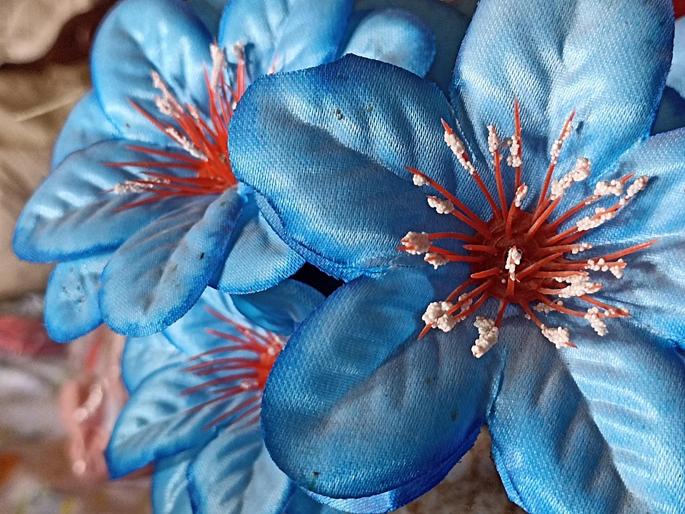 Plastic Flower Ornamentation Blue Free photo on Pixabay Pixabay