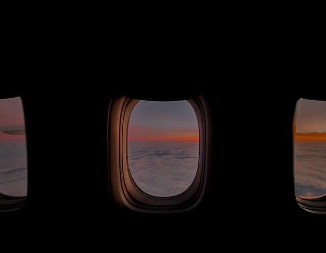 Free Plane Flight photo and picture