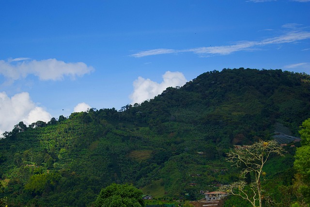 Free Mountain Nature photo and picture