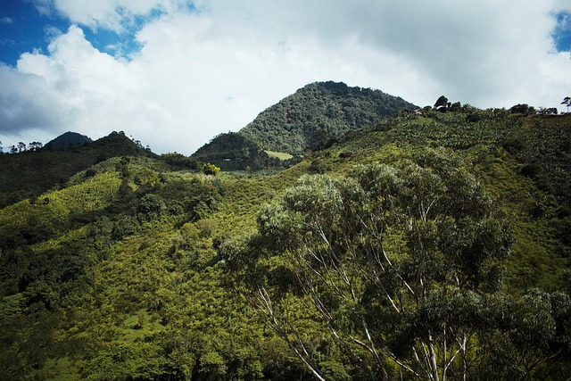 Free Shocking Mountain photo and picture