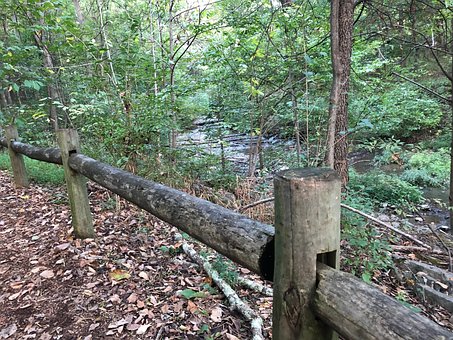 Free Nature Trail Park photo and picture