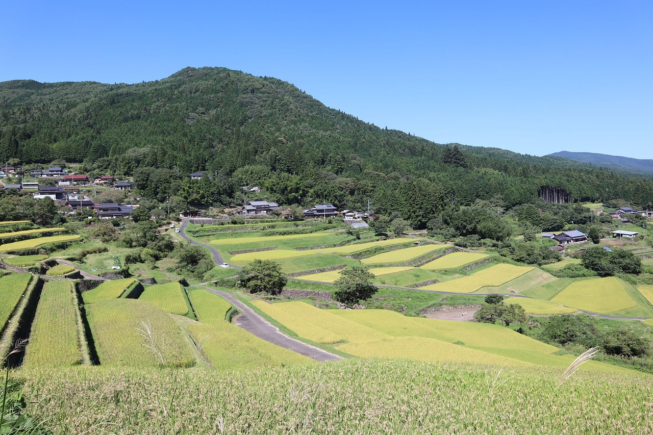 农业 景观 稻田 - Pixabay上的免费照片 - Pixabay
