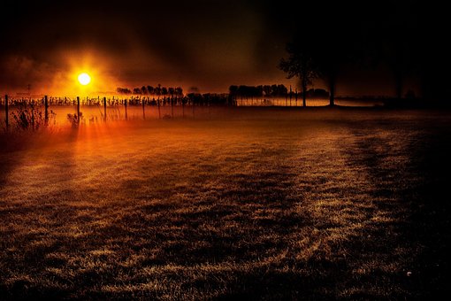 Eng, Natur, Landlige, Solnedgang