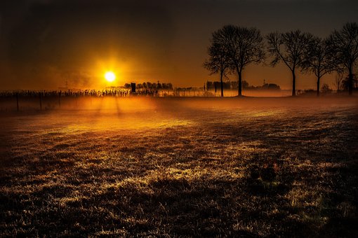 Eng, Græsgange, Natur, Solnedgang