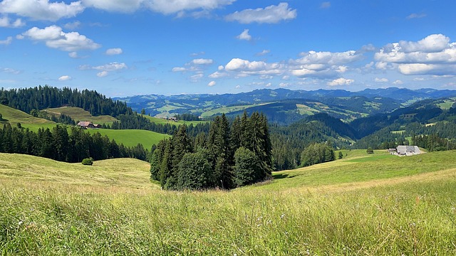 Natur, Wiese, Reisen, Erkundung, Draußen