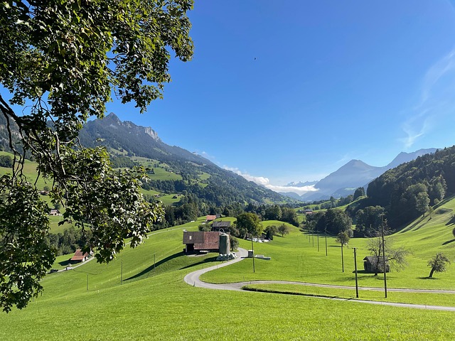 Feld, Berge, Straße, Alpen, Weg