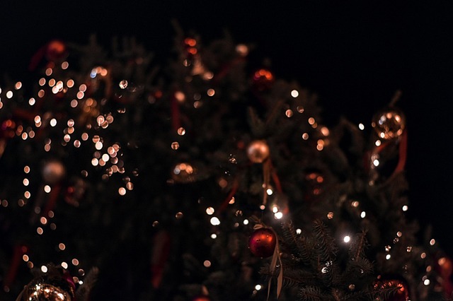 Free Christmas Christmas Lights photo and picture