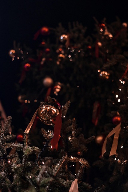 Free Winter Christmas photo and picture