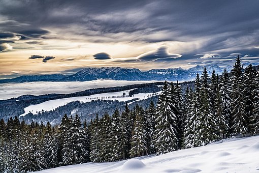 Free Nature Winter photo and picture