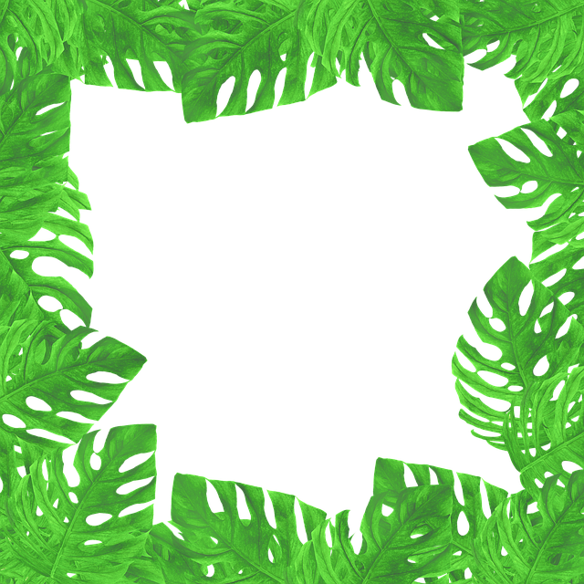 Free border leaves art illustration