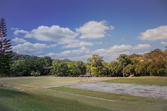Natureza, Campo, Panorama