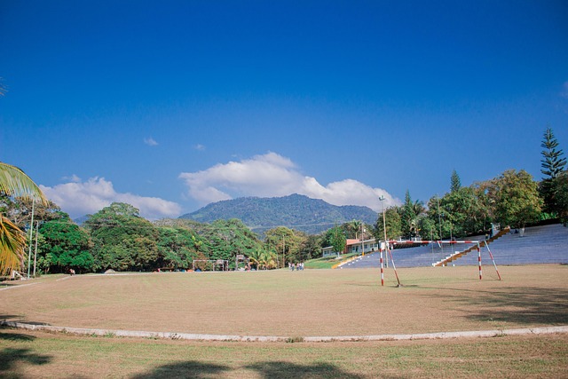Camp, Panorama, Campo, Natureza