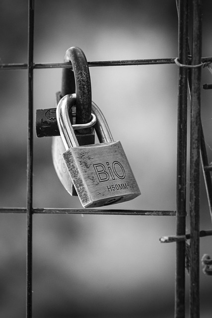 Free Padlocks Locks photo and picture