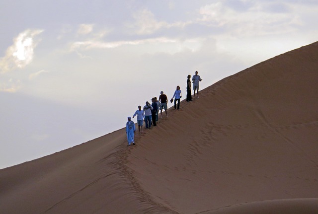 Free Desert Dunes photo and picture