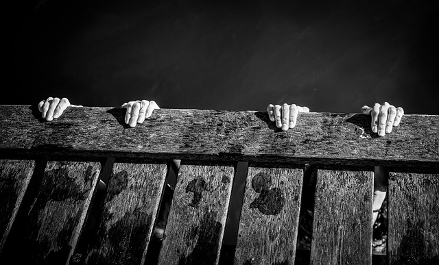 Free Bridge Hands photo and picture