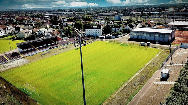 Free Soccer Field Stadium photo and picture