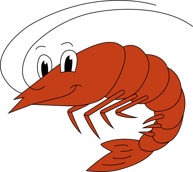 Free shrimp animal cartoon illustration