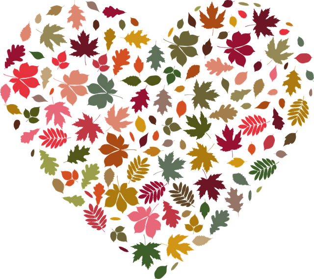 Download free HD stock image of Autumn Leaves Free autumn leaves heart vector